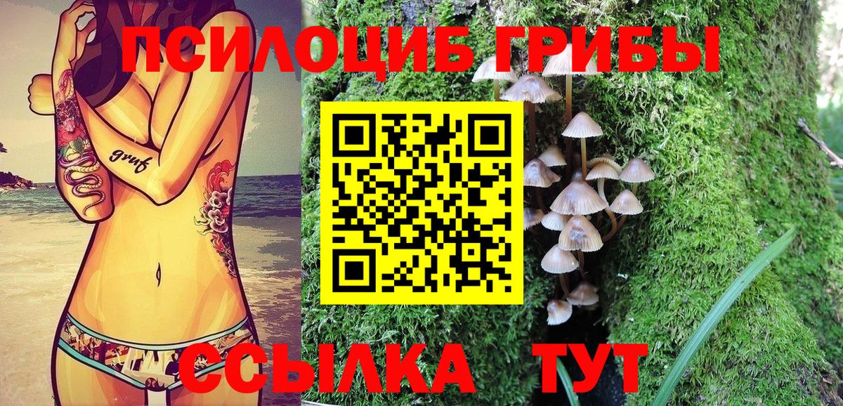Псилоцибиновые грибы мицелий Сертолово